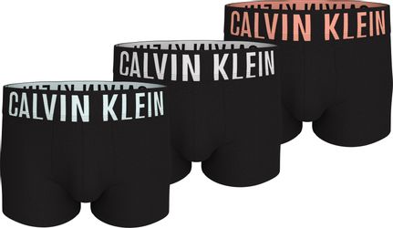 Calvin Klein Underwear Trunk TRUNK 3PK günstig online kaufen