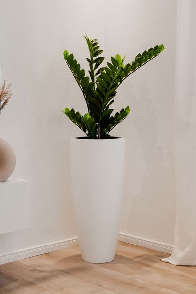 VIVANNO Pflanzkübel Fiberglas CITY Rund - günstig online kaufen