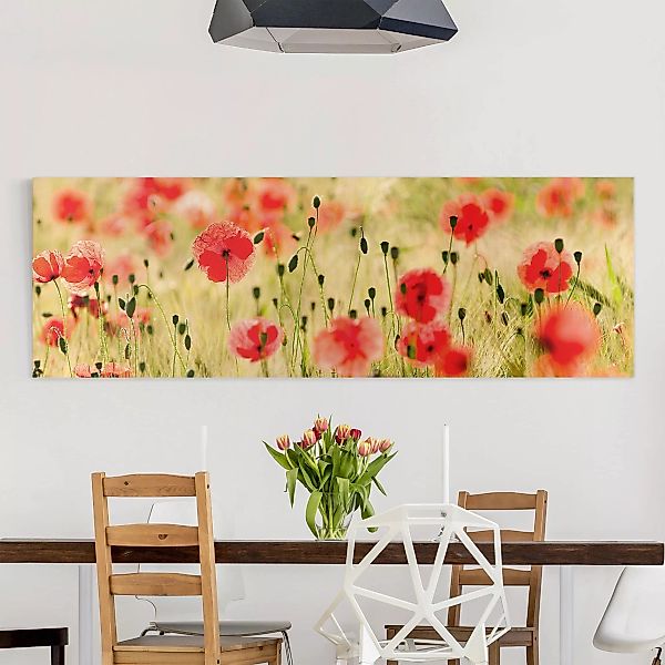 Leinwandbild Blumen - Panorama Summer Poppies günstig online kaufen