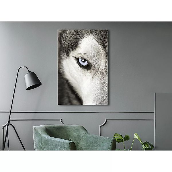 home24 Wandbild Dogs Look günstig online kaufen