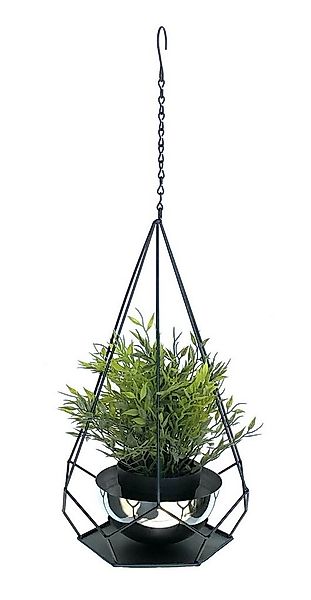 DanDiBo Blumenampel Innen Metall Wand Hängepflanzen 96095 mit Topf 6 Ecken günstig online kaufen