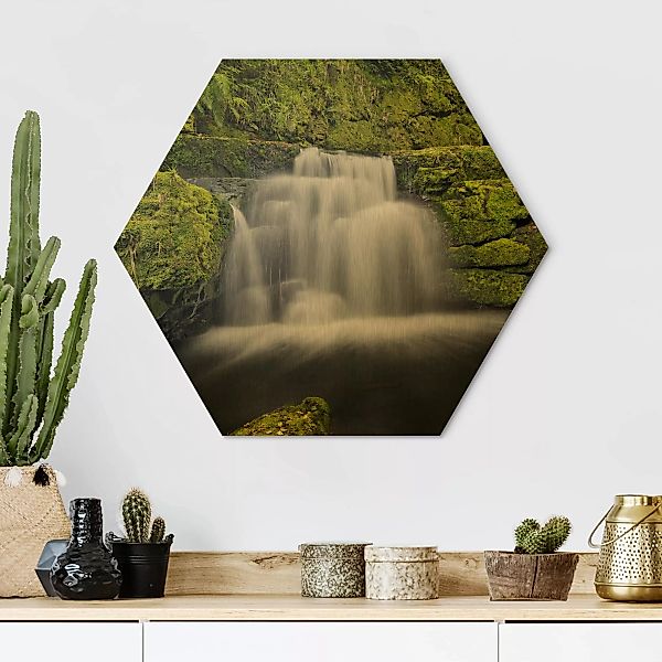 Hexagon-Alu-Dibond Bild Natur & Landschaft Lower McLean Falls in Neuseeland günstig online kaufen