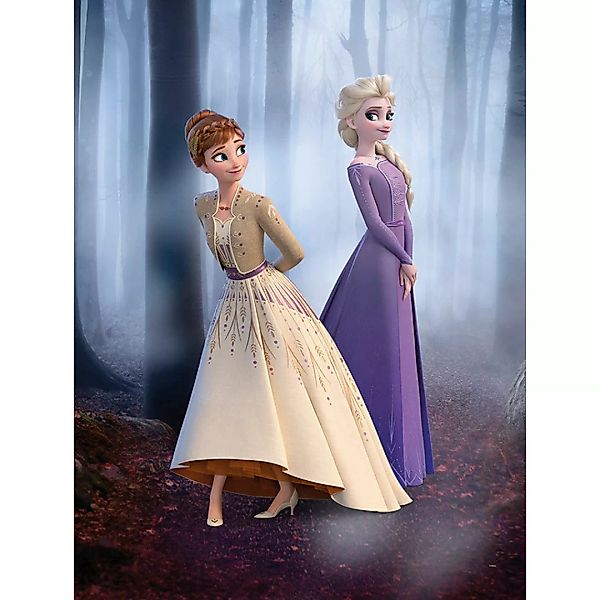 Komar Wandbild Frozen Wood Walk Disney B/L: ca. 30x40 cm günstig online kaufen