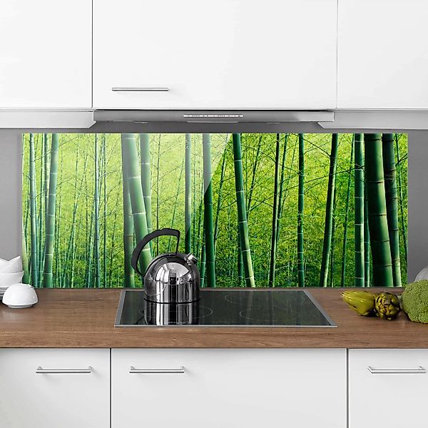 Glas Spritzschutz Natur & Landschaft - Panorama Bambuswald günstig online kaufen