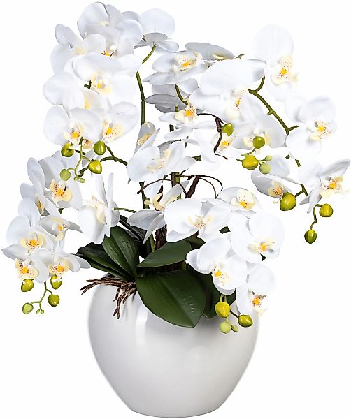 Kunstorchidee Phalaenopsis im Keramiktopf Orchidee Phalaenopsis, günstig online kaufen