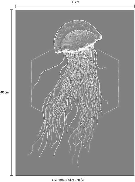 Komar Poster »Jellyfish Black«, Tiere, (1 St.) günstig online kaufen