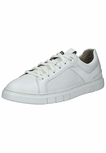 Pius Gabor Sneaker "Pius Gabor Sneaker Leder" günstig online kaufen