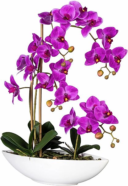 Creativ green Kunstorchidee "Phalaenopsis", im Keramikschiff günstig online kaufen