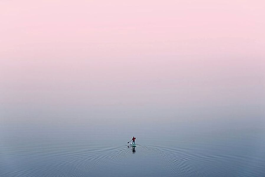 Papermoon Fototapete »Ente im Wasser« günstig online kaufen