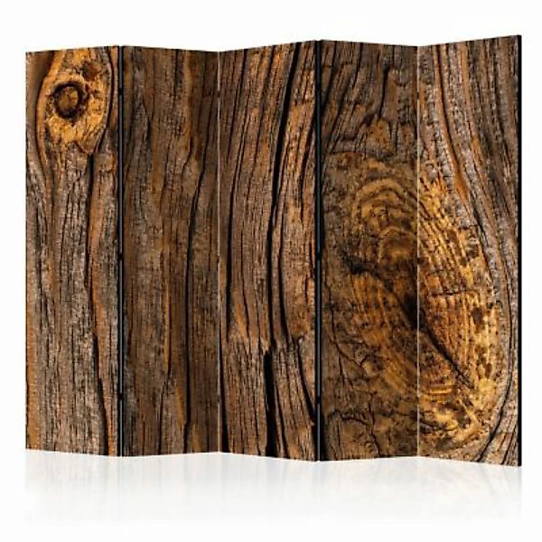 artgeist Paravent Old Tree II [Room Dividers] braun Gr. 225 x 172 günstig online kaufen