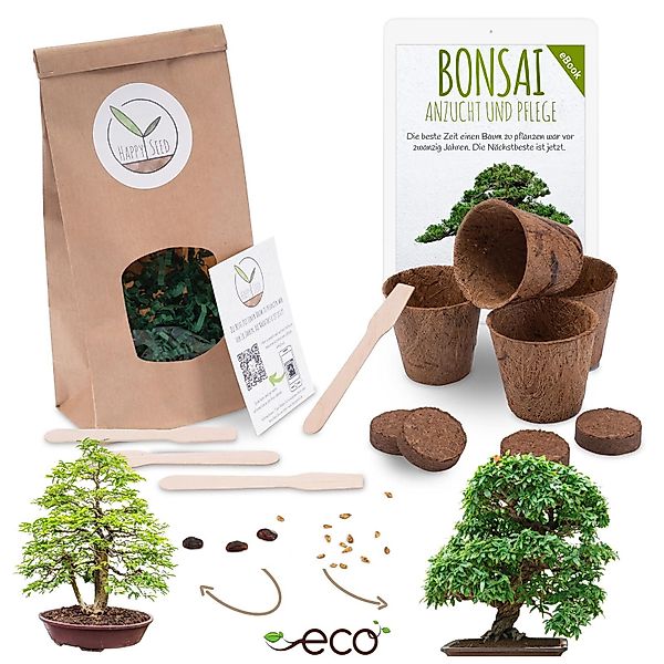 HappySeed Blumensamen Bonsai Anzuchtset inkl. eBook günstig online kaufen