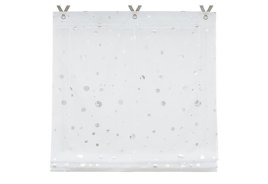 Joyswahl Raffrollo, mit Hakenaufhängung, freihängend, Ösenrollo mit Kreise günstig online kaufen