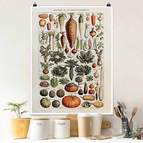 Poster Vintage Lehrtafel Gemüse günstig online kaufen