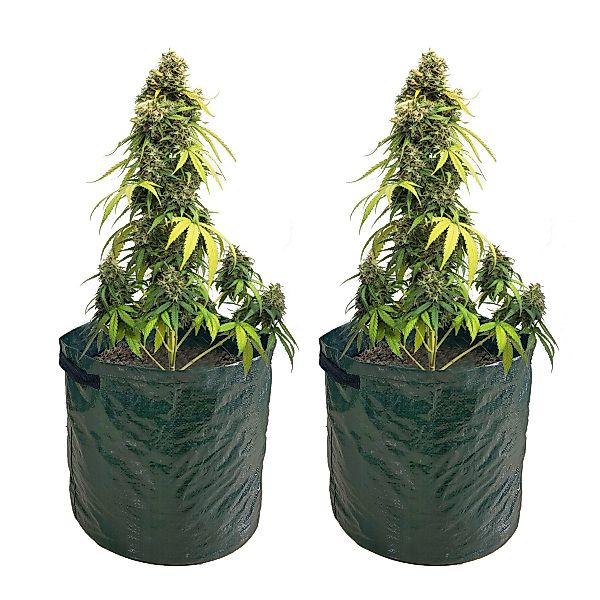 LB H&F Lilienburg Pflanzkübel 2er Set günstig online kaufen
