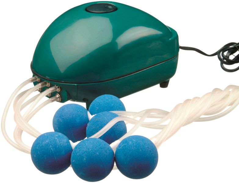 Ubbink Air 1000 Teich Belüftungspumpe Luftpumpe 6-Fach günstig online kaufen