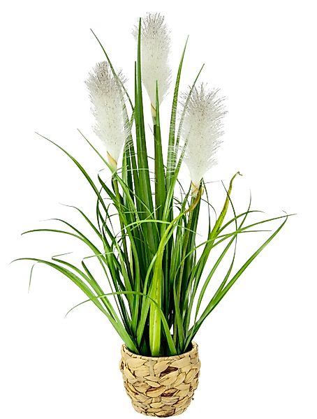 Kunstpflanze Pampasgras, I.GE.A., Höhe 55 cm, günstig online kaufen