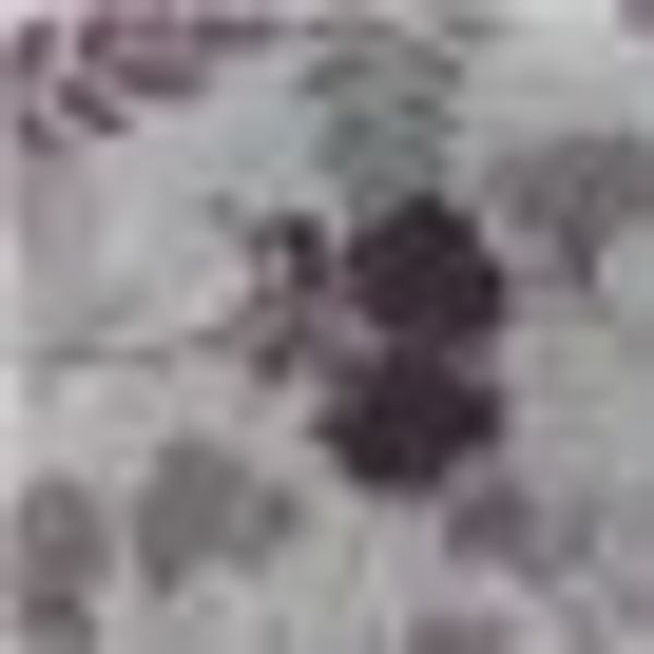 KiNZLER Bettwäsche "Bedruckte Poly-Cotton Bettwäsche "Vivian"" 2 Stk. tlg. günstig online kaufen