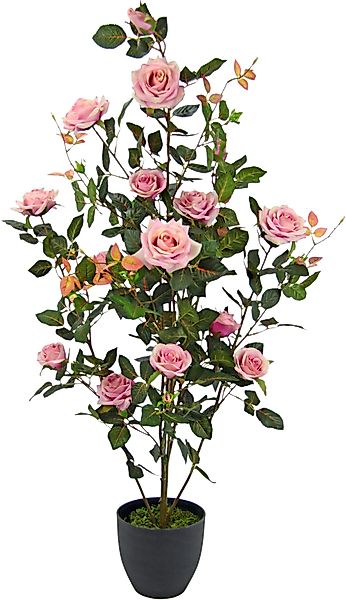 Kunstbaum Rosenbusch im Topf, I.GE.A., Höhe günstig online kaufen