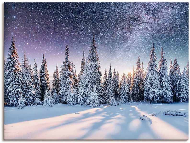 Artland Wandbild »Tannenwald im Schnee vorm Sternenhimmel« Berge & Alpenbil günstig online kaufen