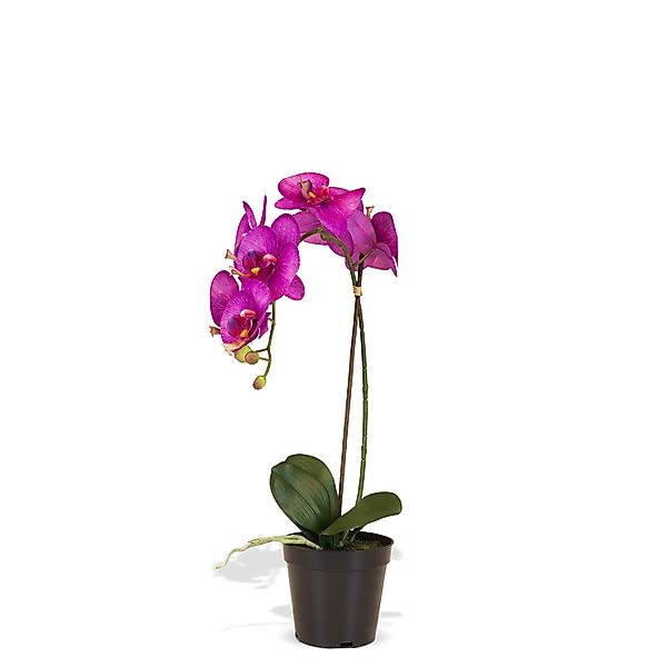 Orchidee Kunstpflanze, Höhe 55 cm, pink günstig online kaufen