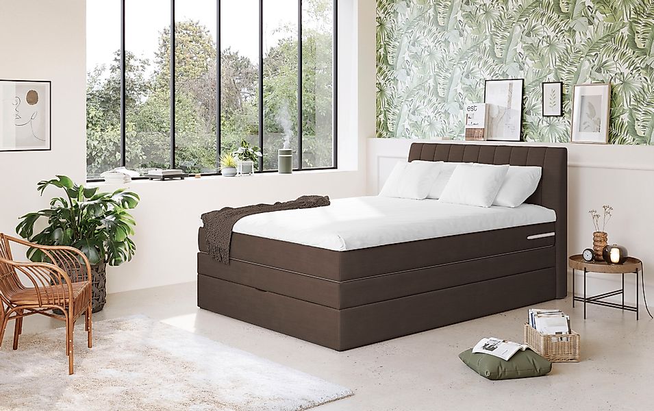 COTTA Boxspringbett »Shark inkl. Bettkasten und Topper« erhältlich in den B günstig online kaufen