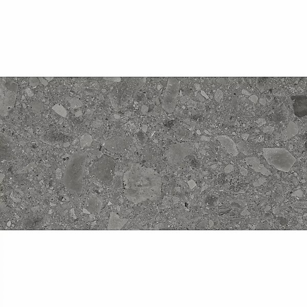 Bodenfliese Feinsteinzeug Grau 60 cm x 30 cm günstig online kaufen