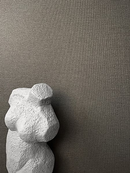 Newroom Vliestapete, Braun Tapete Uni Unifarbe günstig online kaufen