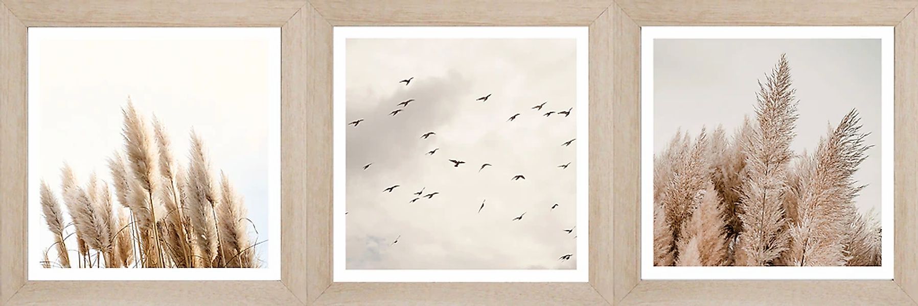 Bönninghoff Bild mit Rahmen, Gräser-Blumen, (Set, 3 St.), BxH: 23x23 cm günstig online kaufen