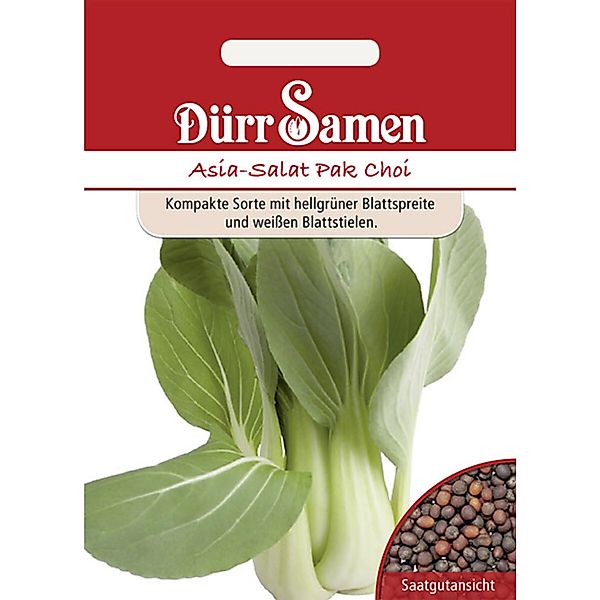 Dürr Samen Asia-Salat Pak Choi Saatgut günstig online kaufen