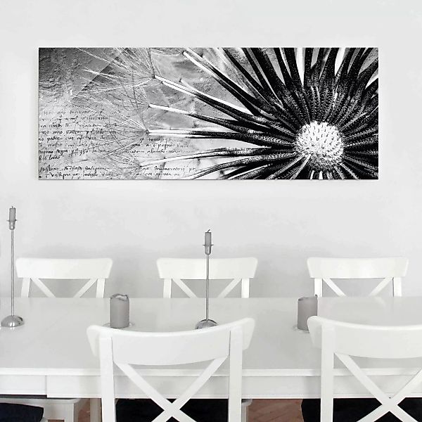 Glasbild Schwarz-Weiß - Panorama Pusteblume Schwarz & Weiß günstig online kaufen
