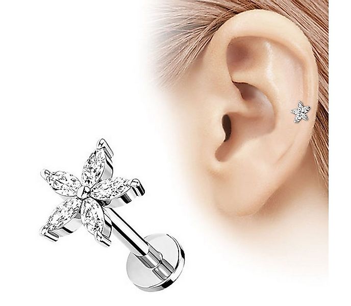 Taffstyle Piercing-Set Tragus Ohr Knorpel Helix Piercing Kristall Blüte, Pi günstig online kaufen