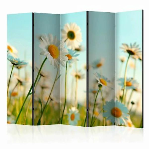 artgeist Paravent Daisies - spring meadow II [Room Dividers] mehrfarbig Gr. günstig online kaufen