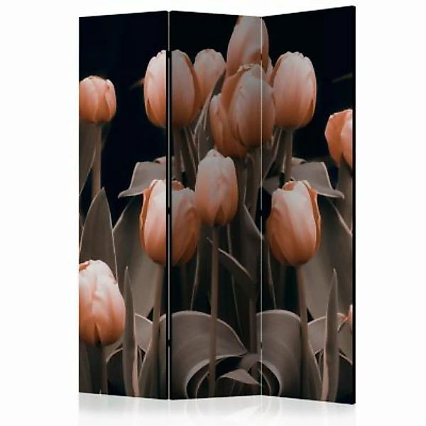 artgeist Paravent Ladies among the flowers [Room Dividers] mehrfarbig Gr. 1 günstig online kaufen