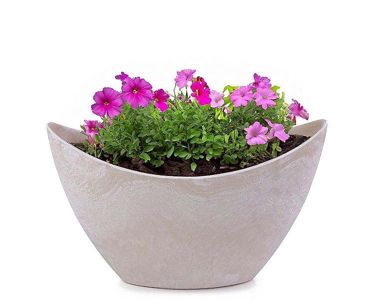matches21 HOME & HOBBY Blumentopf Pflanzschale oval 20 cm für draussen Deko günstig online kaufen