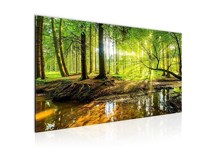 Runa Art Wandbild Wald Landschaft Deko Grün Natur Bilder 100x40 cm 611712a, günstig online kaufen