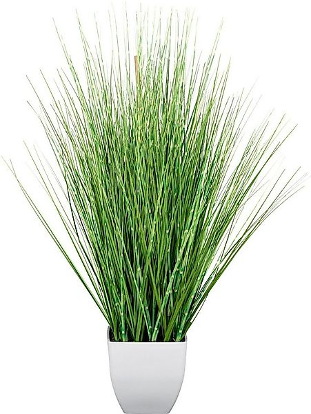 Kunstgras Grasbusch Gras, Creativ green, Höhe 77 cm, im weißen Topf günstig online kaufen