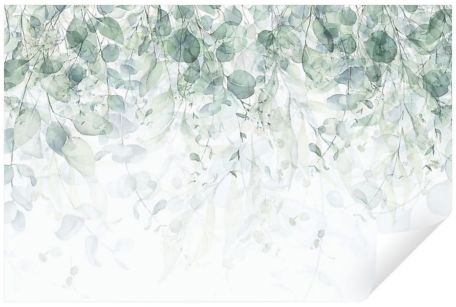 Wallarena Fototapete Blätter Pflanzen Grün Natur Wohnzimmer Schlafzimmer Wa günstig online kaufen