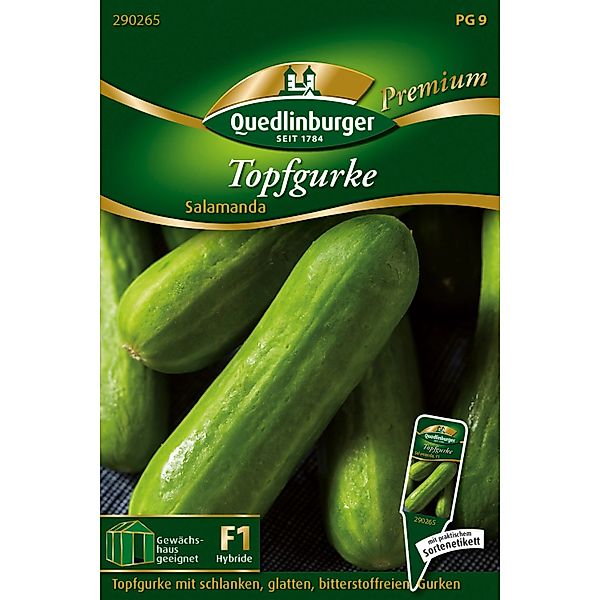 Quedlinburger Topf-Snackgurke Salamanda Loses Saatgut günstig online kaufen