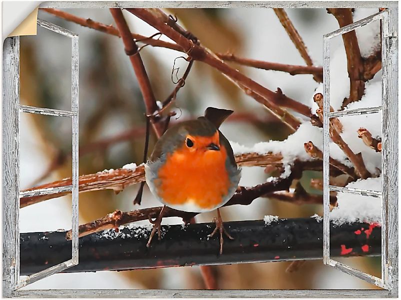 Artland Wandbild "Fensterbild - Rotkehlchen", Vögel, (1 St.), als Poster, W günstig online kaufen