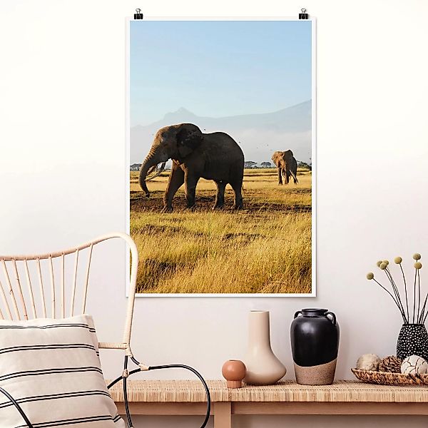 Poster Tiere - Hochformat Elefanten vor dem Kilimanjaro in Kenya günstig online kaufen