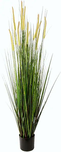 I.GE.A. Kunstgras »Fuchsschwanzgras« im Kunststofftopf günstig online kaufen