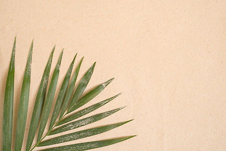 A.S. Création Vliestapete »Botanik-Tapete Palmenblatt Sand Beige Grün« matt günstig online kaufen