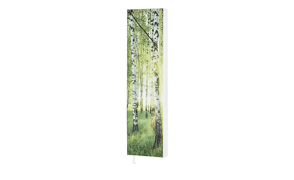 Mehrzweckschrank  Pictura ¦ grün ¦ Maße (cm): B: 48 H: 191 T: 20.0 Garderob günstig online kaufen