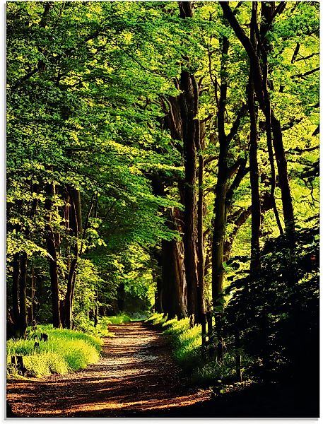 Artland Glasbild "Weg im Wald", Wald, (1 St.) günstig online kaufen