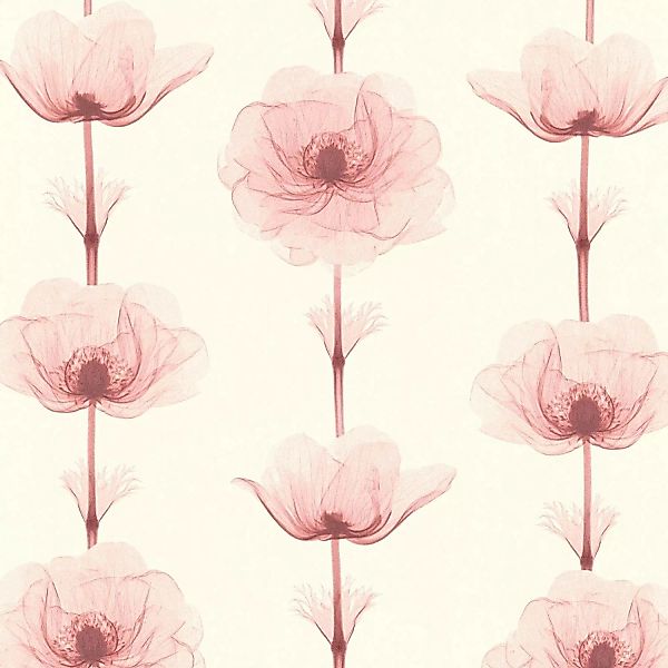 Bricoflor Vlies Blumentapete Weiß Rot Florale Tapete ausgefallen Ideal für günstig online kaufen