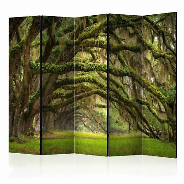 artgeist Paravent Tree embrace II [Room Dividers] grün-kombi Gr. 225 x 172 günstig online kaufen