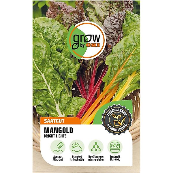 GROW by OBI Mangold Bright Lights Beta vulgaris günstig online kaufen