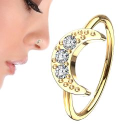 Taffstyle Nasenpiercing Nasenpiercing Ring Halbmond Kristallen günstig online kaufen