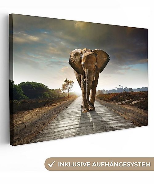 OneMillionCanvasses® Leinwandbild Elefant - Straße - Tiere - Sonnenuntergan günstig online kaufen