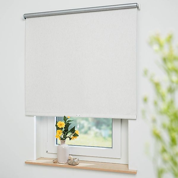 Springrollo Thermo-Rollo, Liedeco, verdunkelnd, freihängend, verschraubt, günstig online kaufen